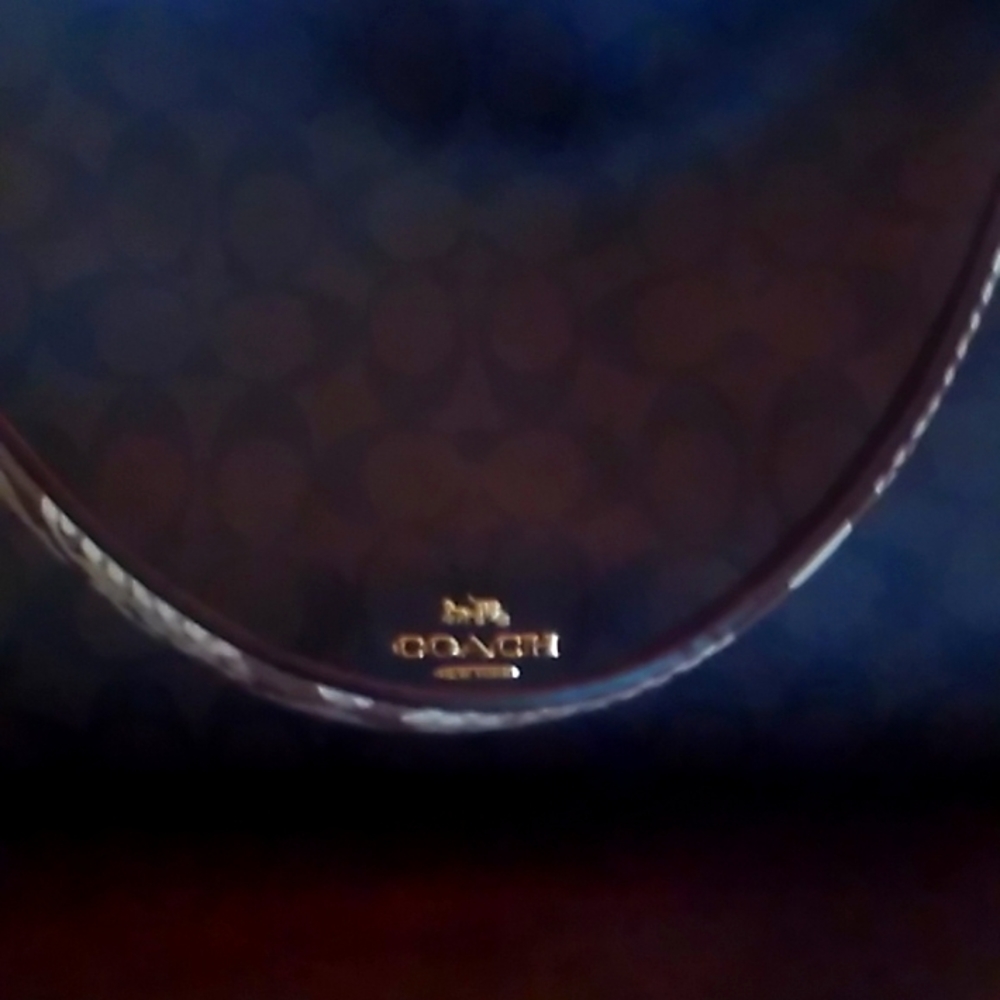 Classic Coach purse